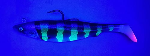 4D Herring Big Shad