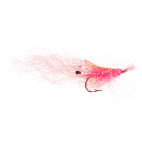 Arcticflies (Sjøørret) Lyngenreka #8