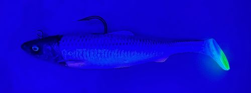 4D Herring Big Shad